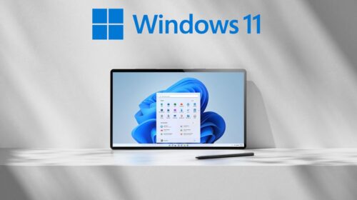 windows 11